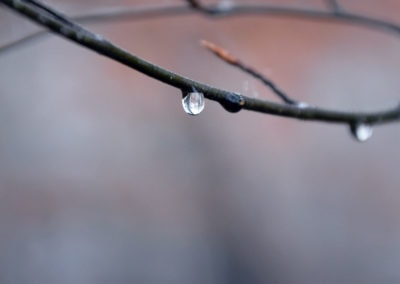 estudio-da-alma-mindfulness-individual