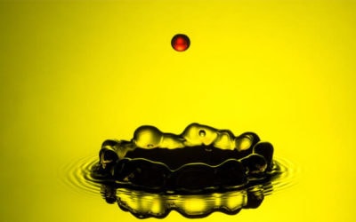 Mindfulness: 10 minutos por dia